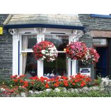 Window Boxes