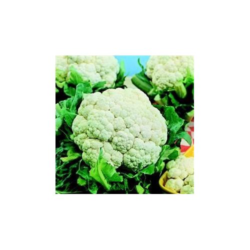 Cauliflower