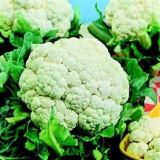 Cauliflower