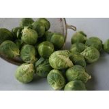 Brussel Sprouts