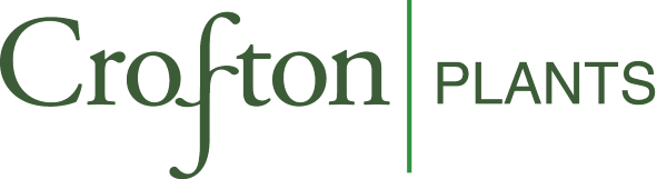 Crofton Plants